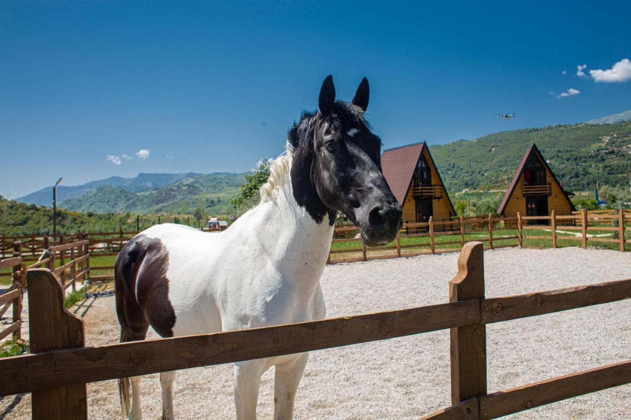 Vila Sancho Farm Albania Memaliaj Exteriér fotografie