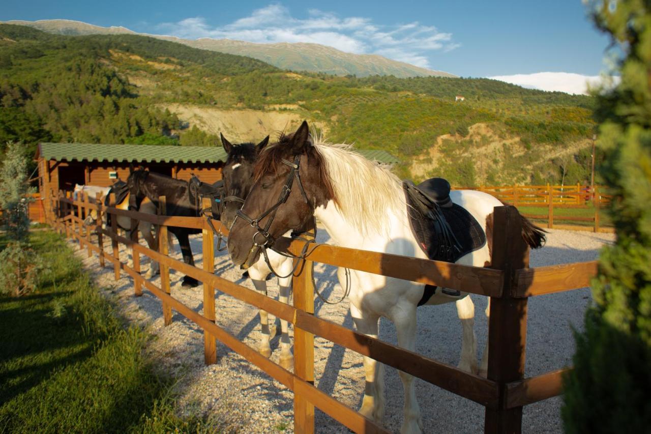Vila Sancho Farm Albania Memaliaj Exteriér fotografie