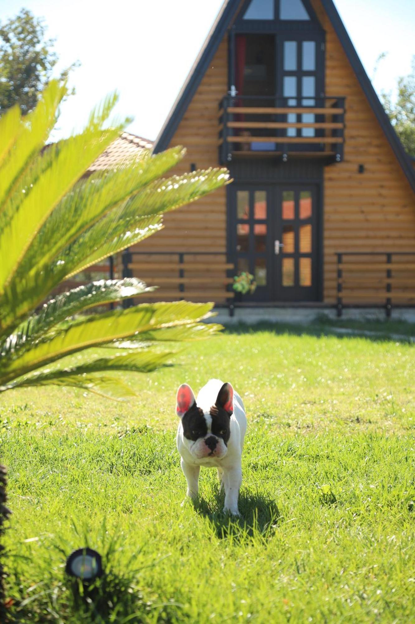 Vila Sancho Farm Albania Memaliaj Exteriér fotografie