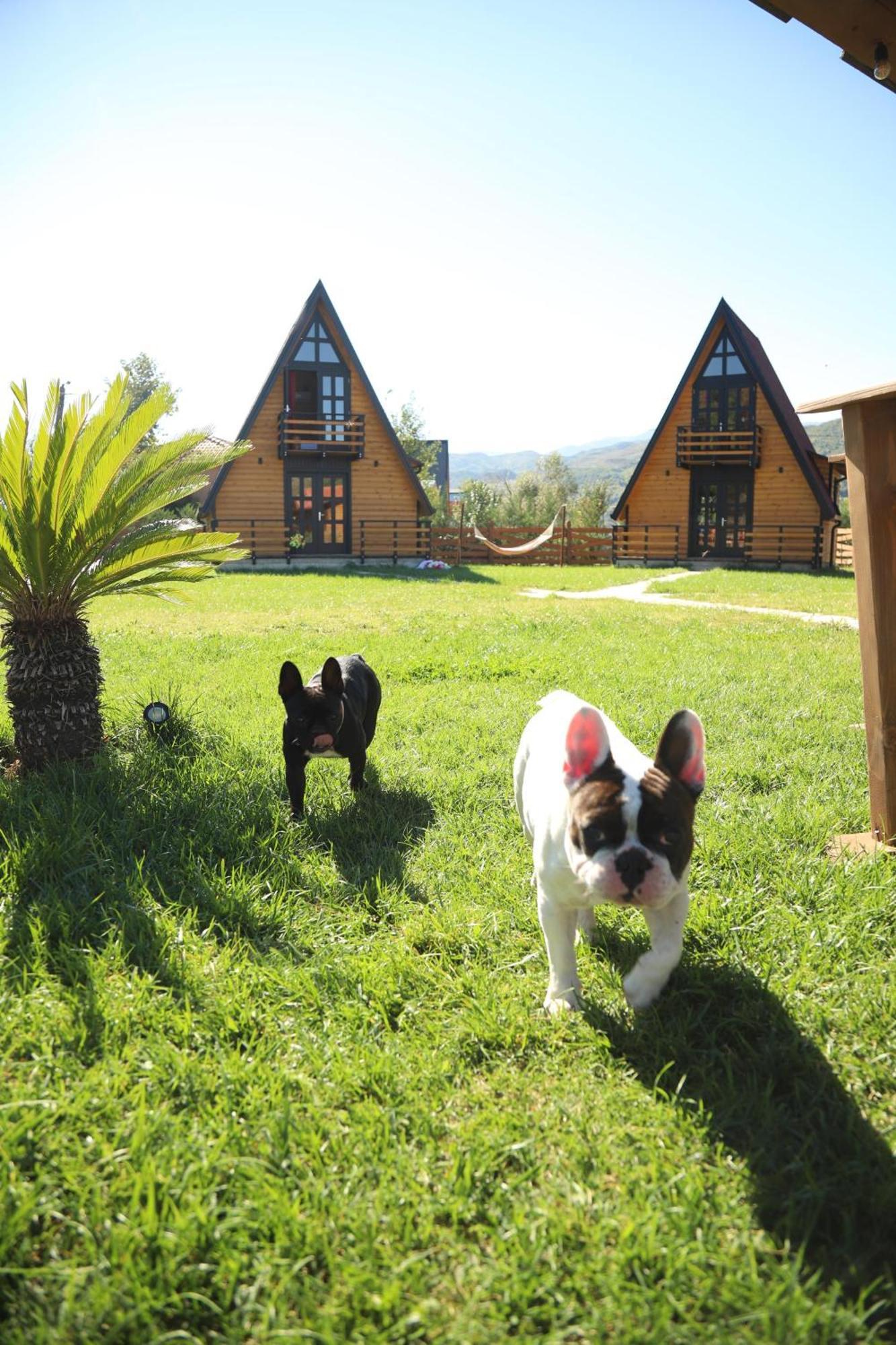Vila Sancho Farm Albania Memaliaj Exteriér fotografie
