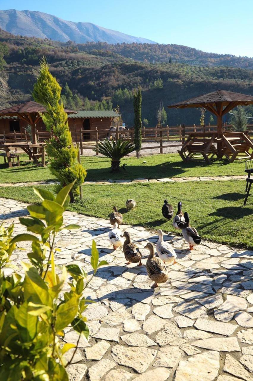 Vila Sancho Farm Albania Memaliaj Exteriér fotografie