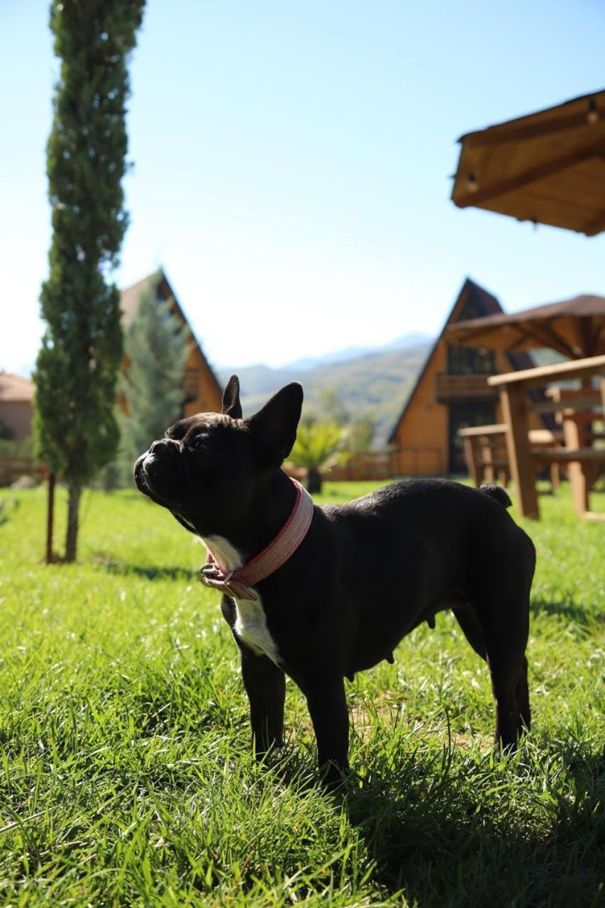 Vila Sancho Farm Albania Memaliaj Exteriér fotografie
